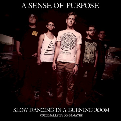Slow Dancing in a Burning Room