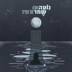 שורה של צעדים