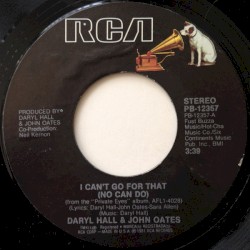 I Can’t Go for That (No Can Do)