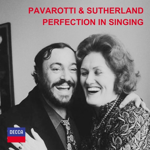Perfection in Singing