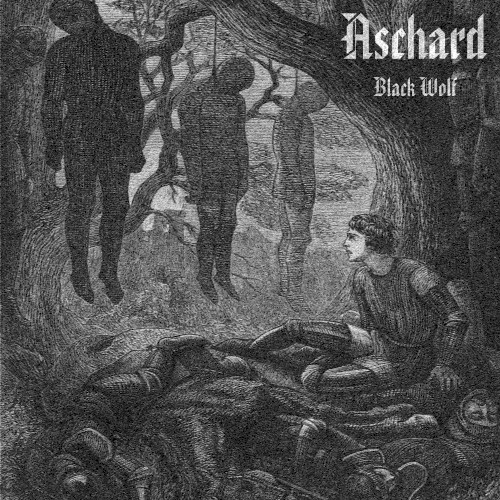 Black Wolf