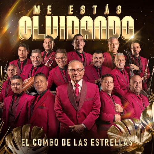 Me estás olvidando