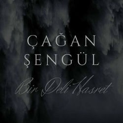 Bir Deli Hasret