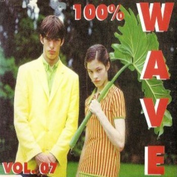 100% Wave, Vol. 07