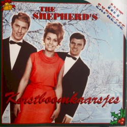 Kerstboomkaarsjes