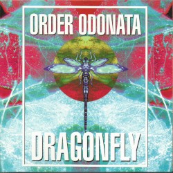 Order Odonata: The Technical Use of Sound in Magick