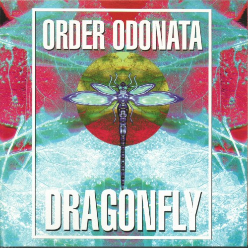 Order Odonata: The Technical Use of Sound in Magick