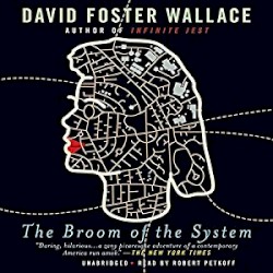 The Broom of the System