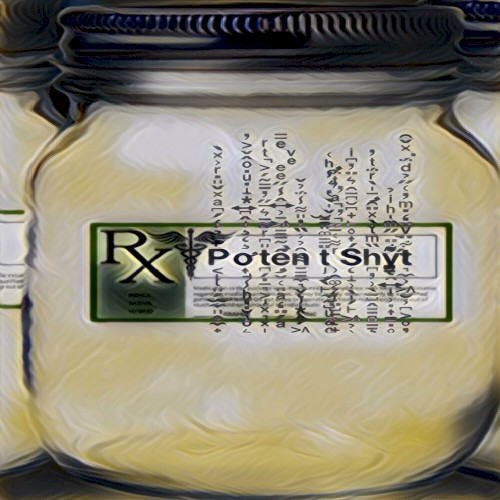 Potent Shyt (radio edit)