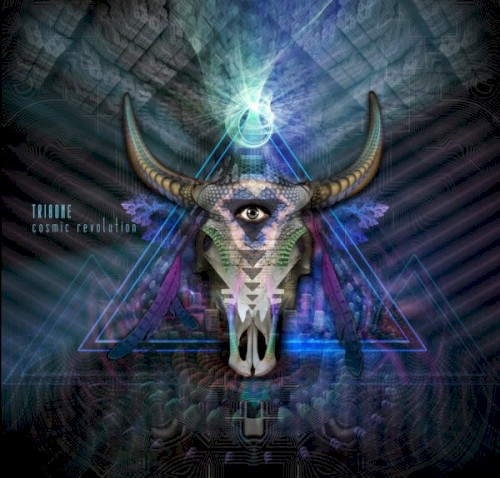 Cosmic Revolution