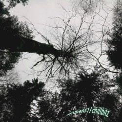 ambient 1