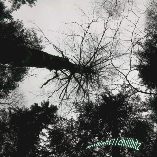 ambient 1