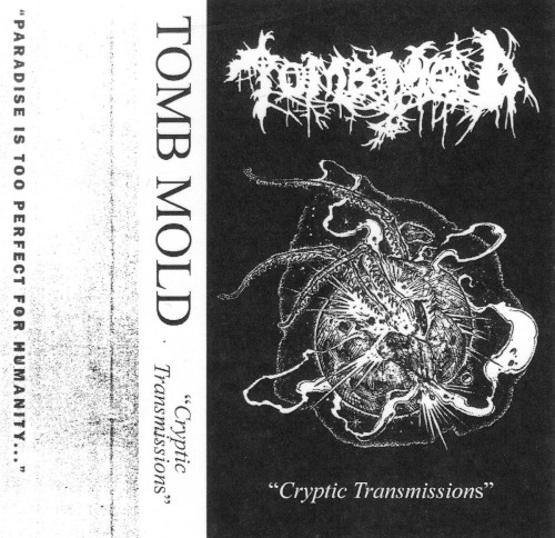 Cryptic Transmissions