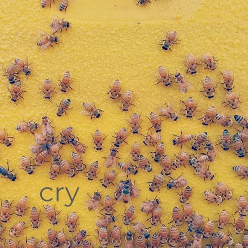 Cry