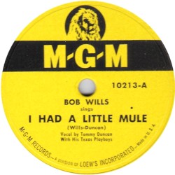 I Had a Little Mule / Blues for Dixie