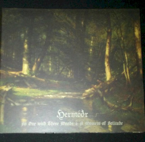 As One With These Woods & A Moment of Solitude