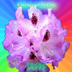 Essence Of Spring
