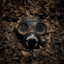 This War of Mine