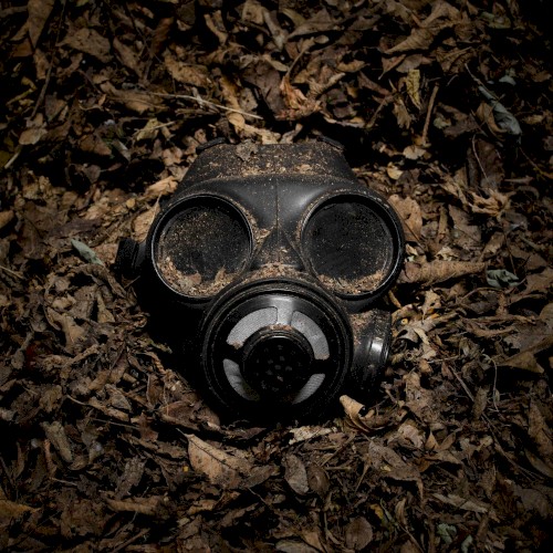 This War of Mine