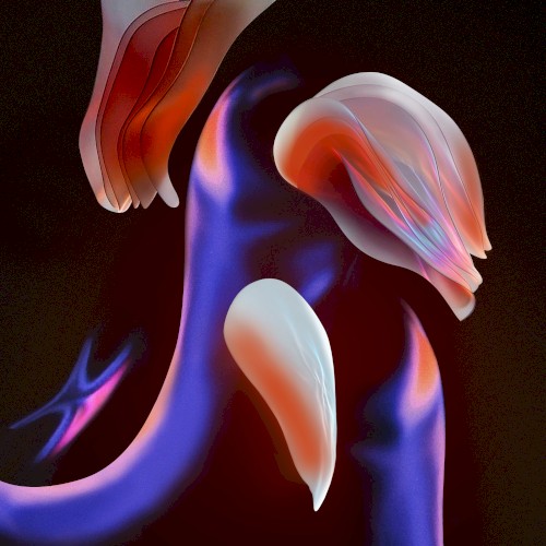 Metamorphosis