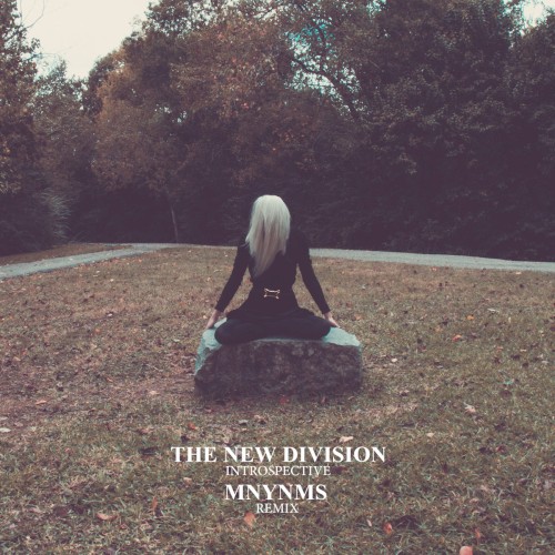 Introspective (MNYNMS remix)