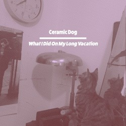 What I Did on My Long 'Vacation'