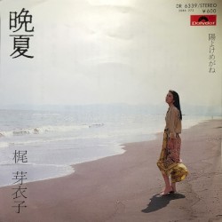 晩夏／陽よけめがね