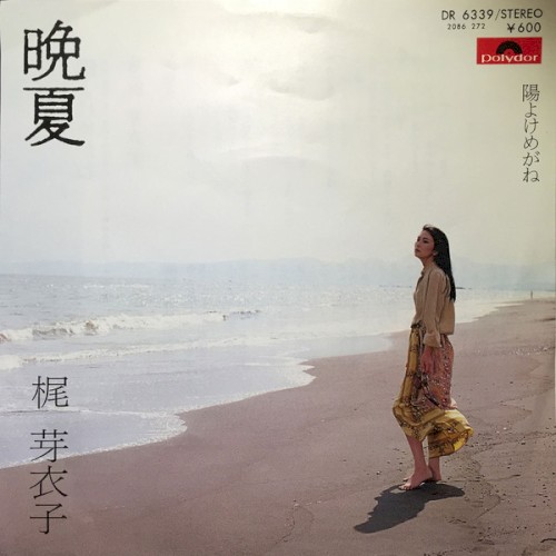 晩夏／陽よけめがね