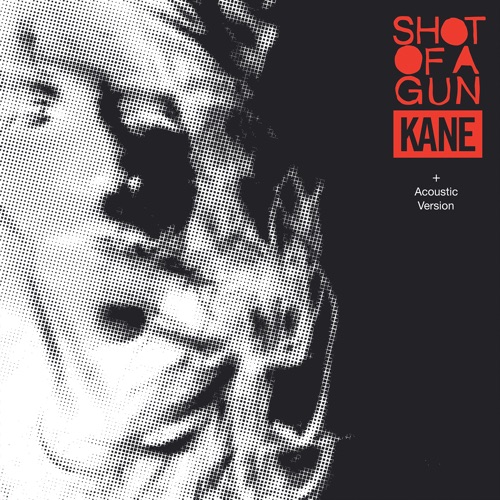 Shot of a Gun