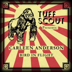 Bird in Flight