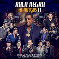 Raça Negra e Amigos II