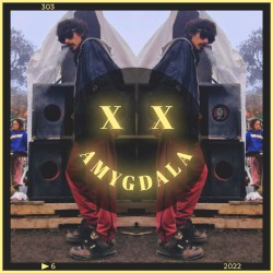 XX