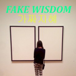 FAKE WISDOM