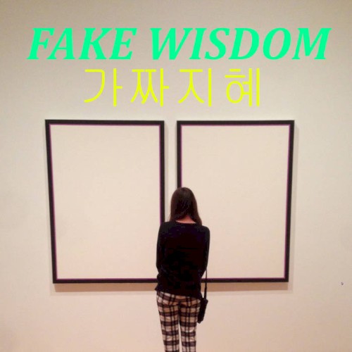 FAKE WISDOM