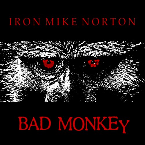 Bad Monkey