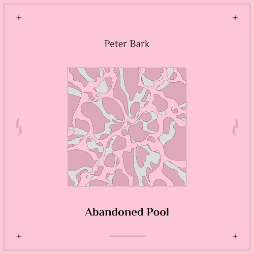 Abandoned Pool