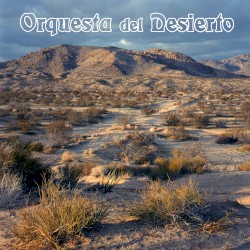 Orquesta del Desierto