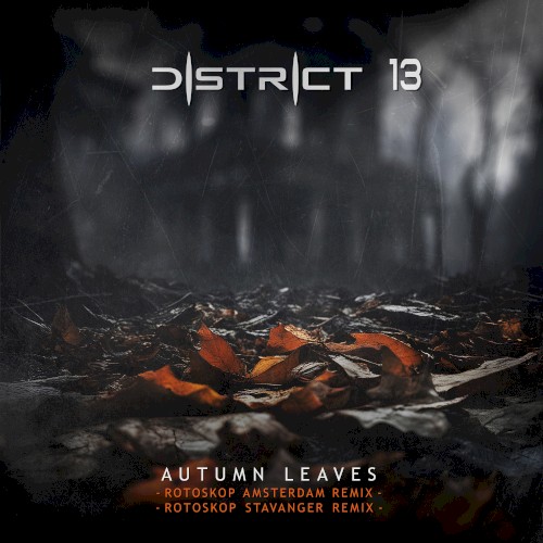 Autumn Leaves (Rotoskop remixes)