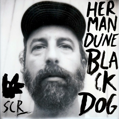 Black Dog
