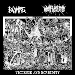 Violence and Morbidity