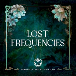Tomorrowland 2024: Lost Frequencies at Mainstage, Weekend 2