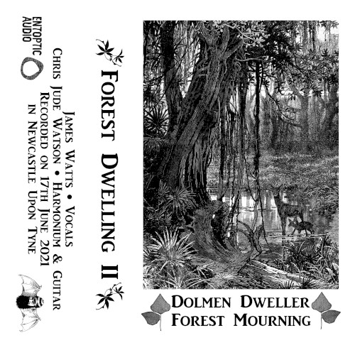 Forest Dwelling II