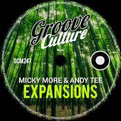 Expansions (edit)