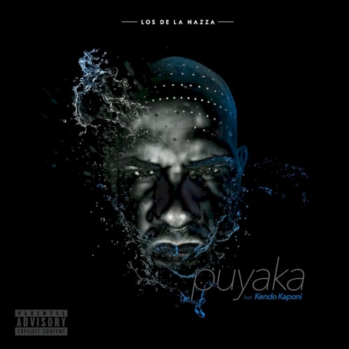 Puyaka