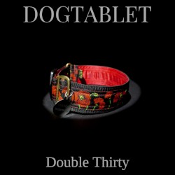 Double Thirty