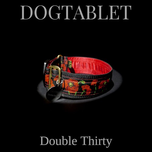 Double Thirty