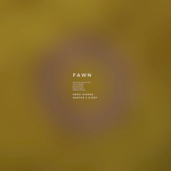 Fawn