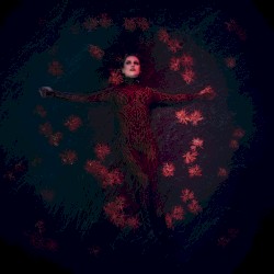 Blood in the Water
