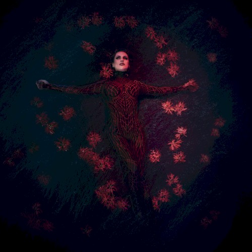Blood in the Water