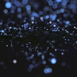 Instrumental#01